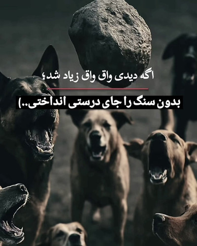 G8sz0QTaAAAT4Me.jpg