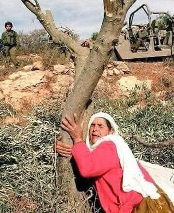G7cA5lAXwAAR5Ft.jpg
