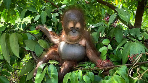 iV HXynyjAn7xj05.jpg