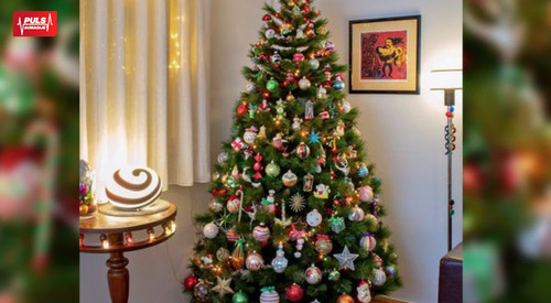 COVER ZA VESTI (81).jpg