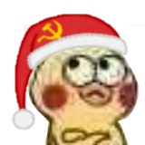 IMG 20251223 193408.jpg