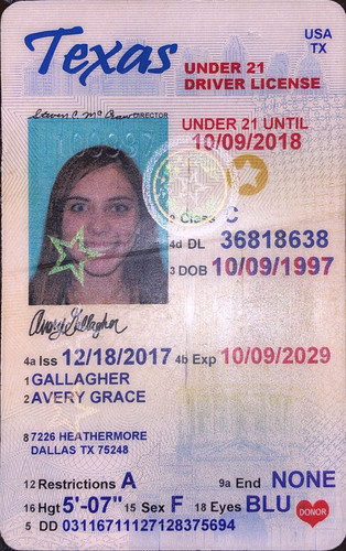 Avery Grace Gallagher license.jpg