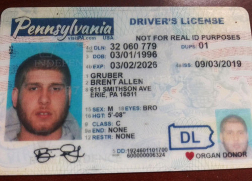 Brent Gruber license.jpg