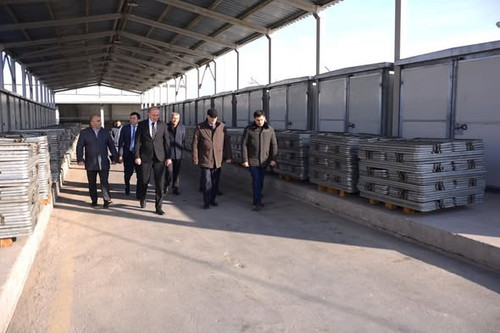 605242663 1276397767854405 3351301524763596964 n.jpg?stp=dst jpg s590x590 tt6& nc cat=101& nc cb=99b.jpg