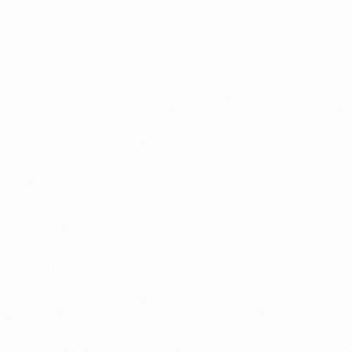 logo reveal viva corp.gif