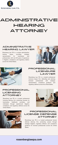 Professional Licensing Attorney | Rosenberg Law PA.jpg