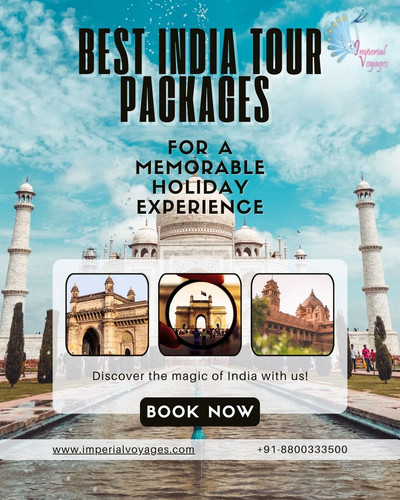 Best India Tour Packages for a Memorable Holiday Experience.jpg