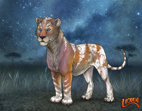 lion 794255752549.png