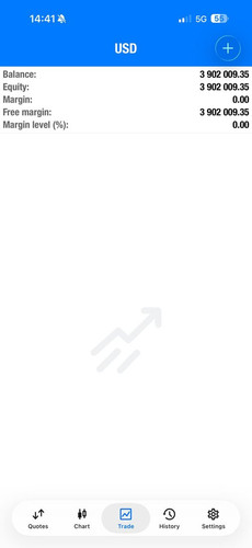 msg 319 1766465369 optimized.jpg