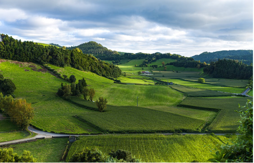 Annotation 2025 12 23 152840.png