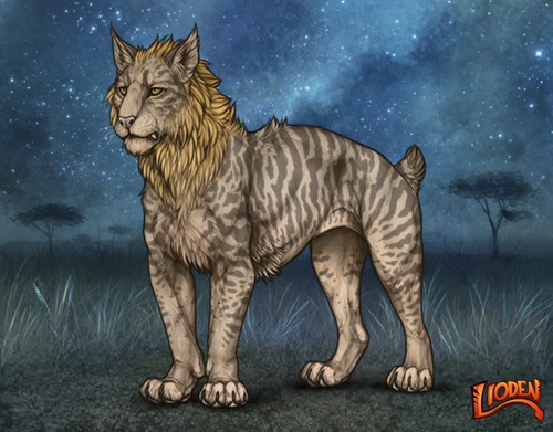 lion 794250075069.png