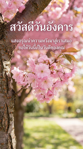 uc?id=1N7tnqAJ2svivWqwqXgvBJgivM7bLC1IF&export=download.jpg