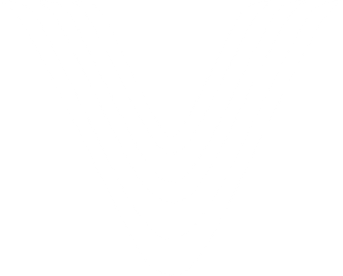 Icon CDV White.png