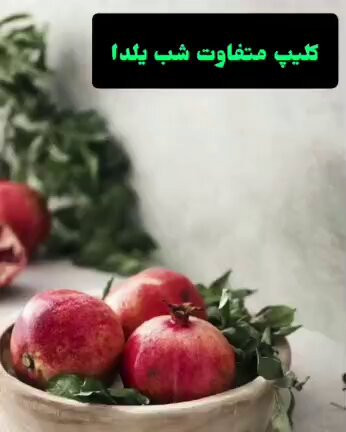 OQj0QVliq7Nt2eIq.jpg