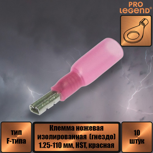 PL2872.jpg