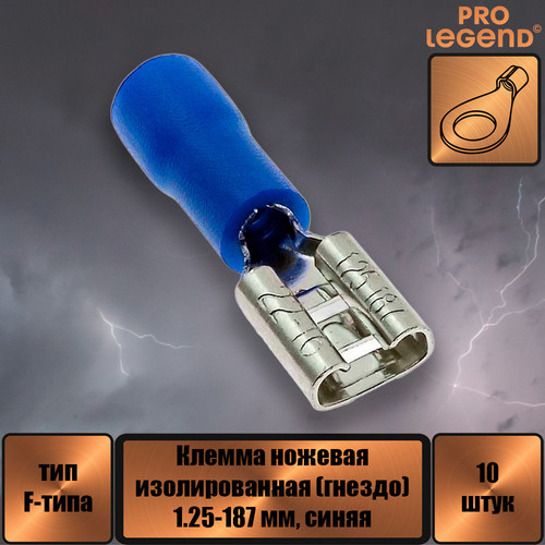 PL2874.jpg