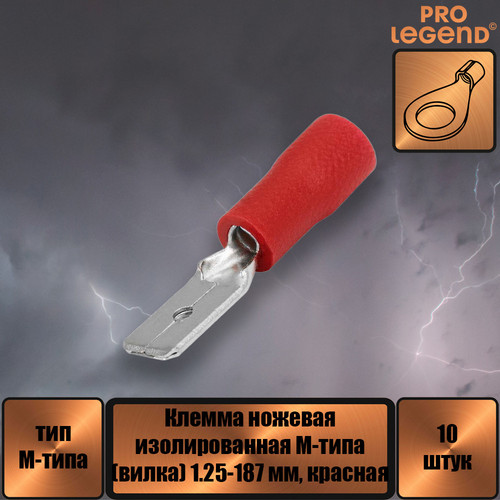 PL2888.jpg