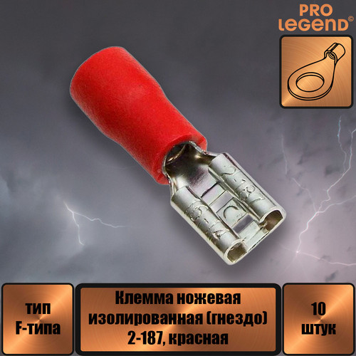 PL2877.jpg