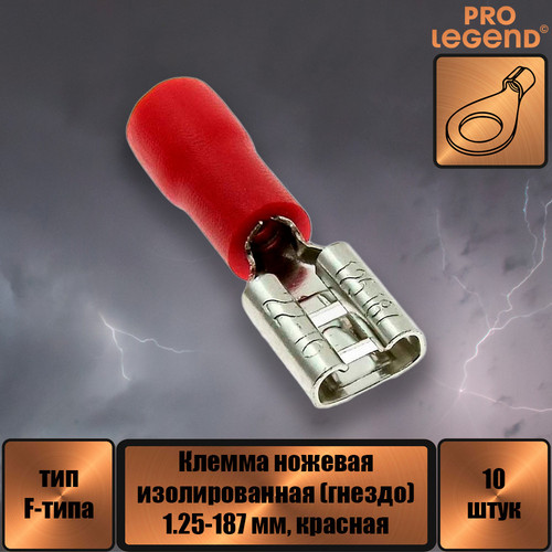 PL2873.jpg