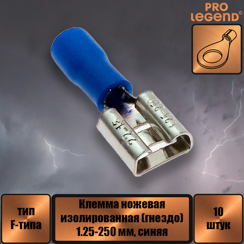 PL2876.jpg