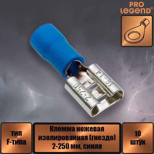 PL2879.jpg