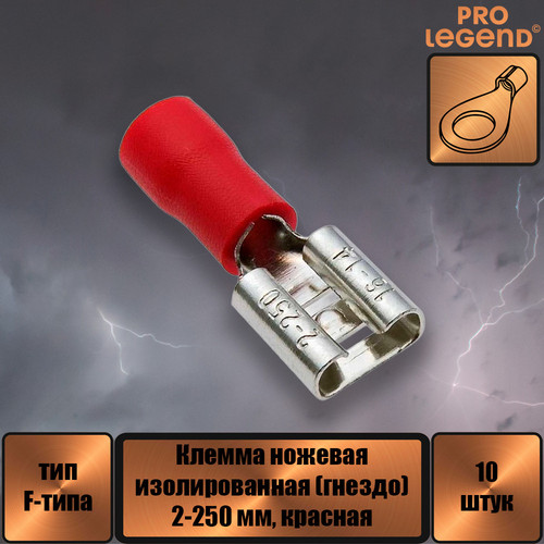 PL2878.jpg