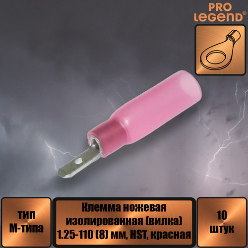 PL2887.jpg