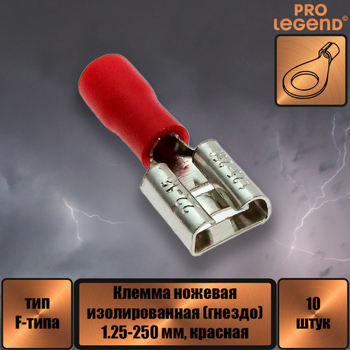 PL2875.jpg