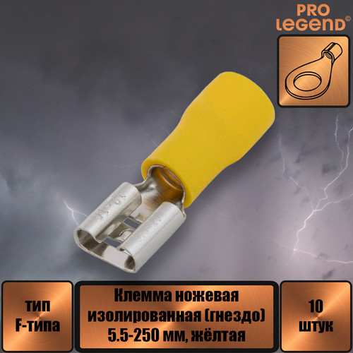 PL2880.jpg