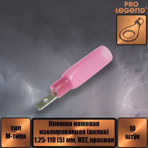 PL2886.jpg