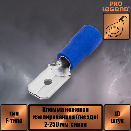 PL2881.jpg