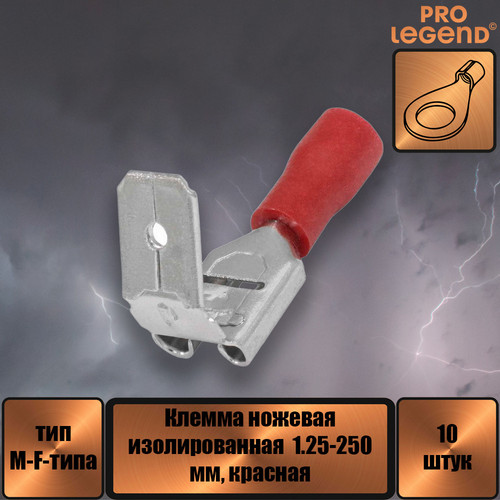 PL2884.jpg