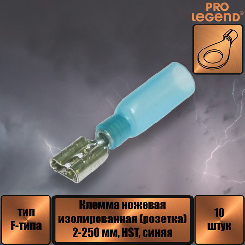 PL2882.jpg