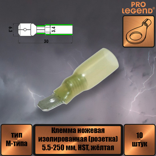 PL2893.jpg