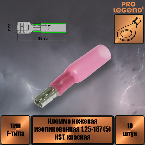 PL2895.jpg
