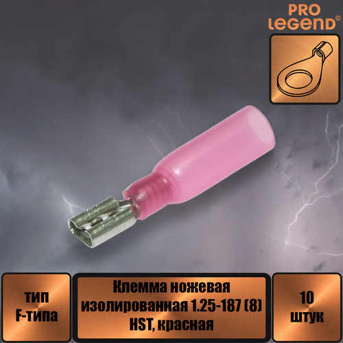 PL2896.jpg