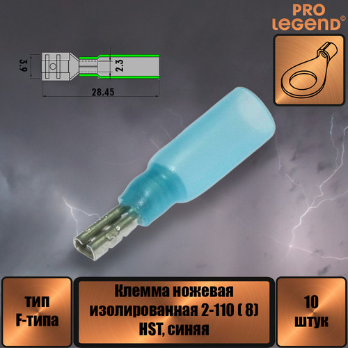 PL2898.jpg