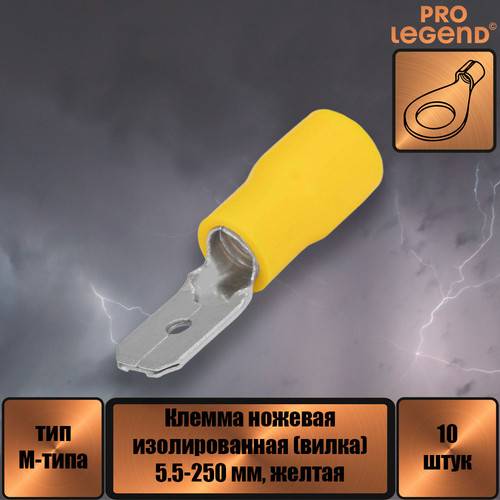 PL2891.jpg