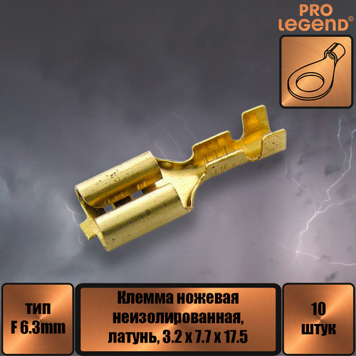 PL2913.jpg