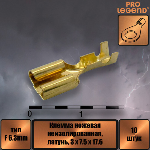 PL2914.jpg