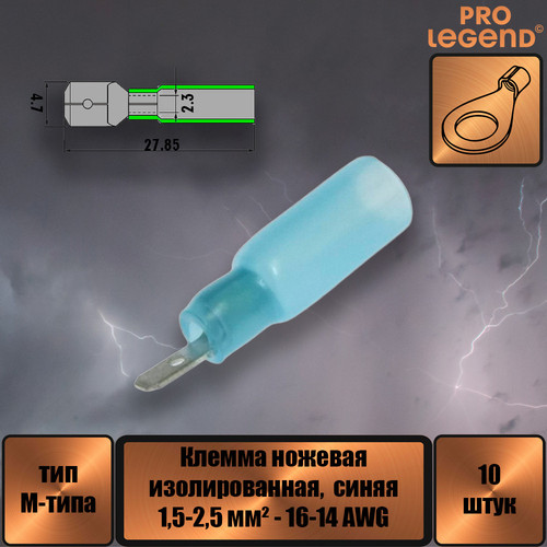 PL2903.jpg