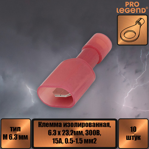 PL2904.jpg