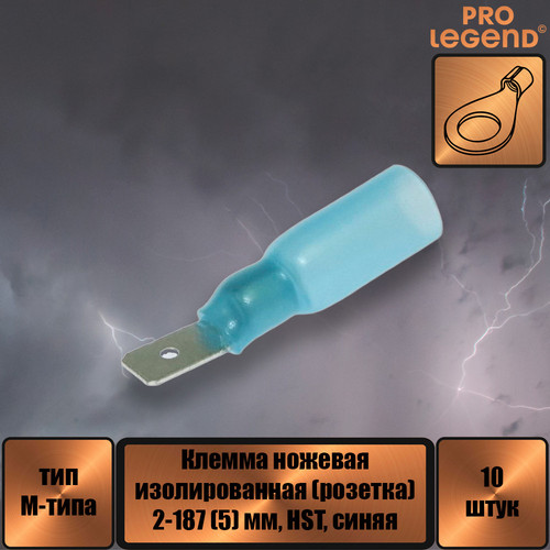 PL2892.jpg