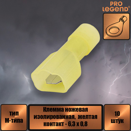 PL2906.jpg
