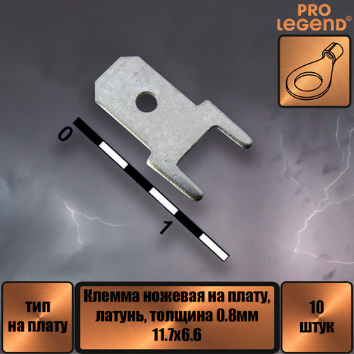 PL2907.jpg