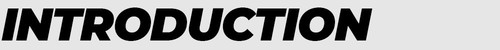 INTRODUCTIONjpg.jpg