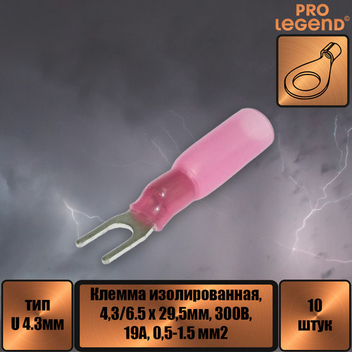 PL2931.jpg