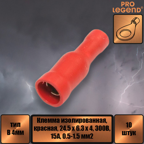 PL2919.jpg