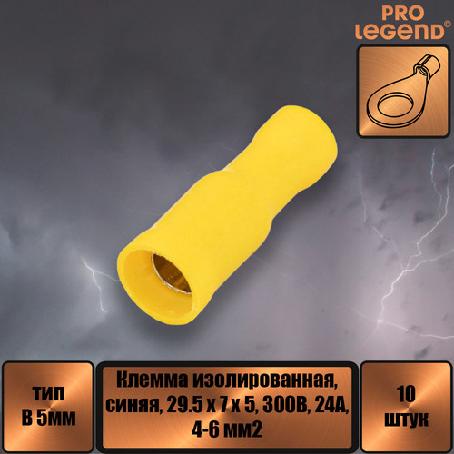 PL2921.jpg