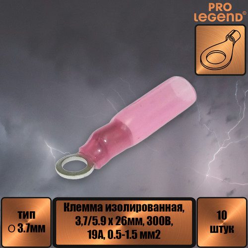 PL2949.jpg
